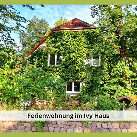 Ivy Haus Leilighet Falkensee Eksteriør bilde
